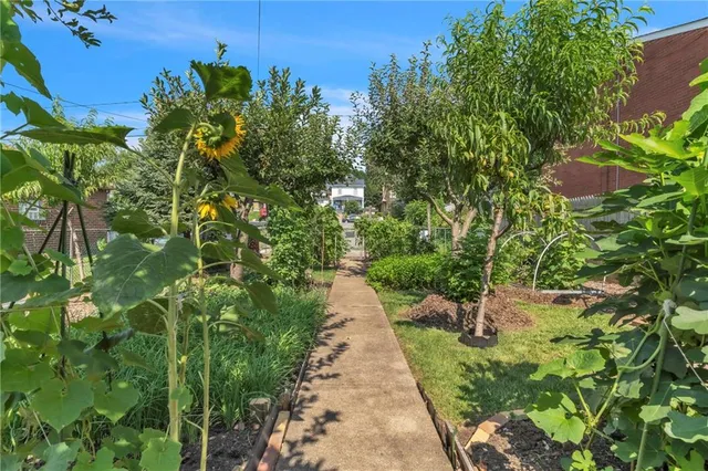 a view of a pathway both side of a yard