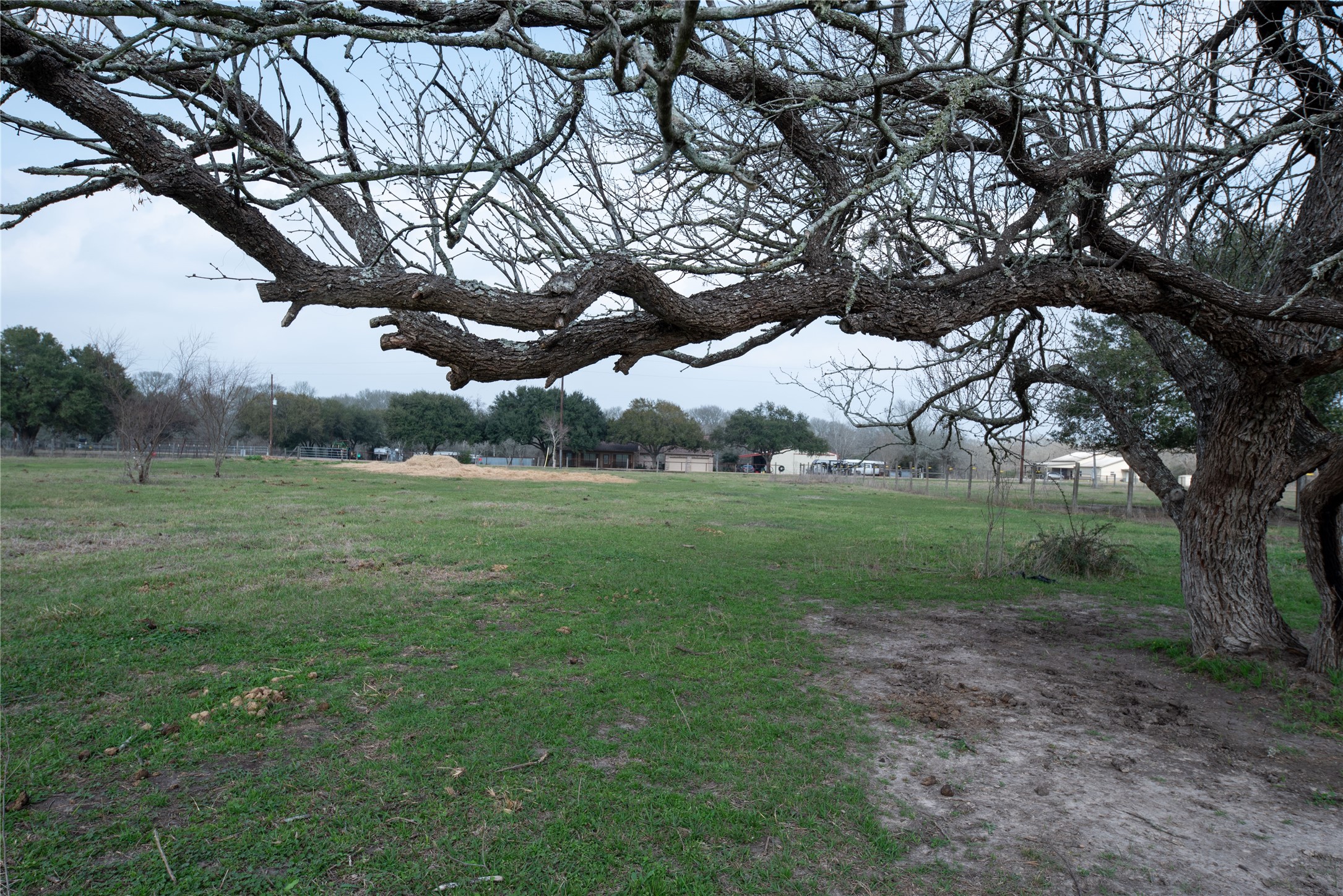 0 Wolf Run Needville, TX 77461 - Photo 3 of 8
