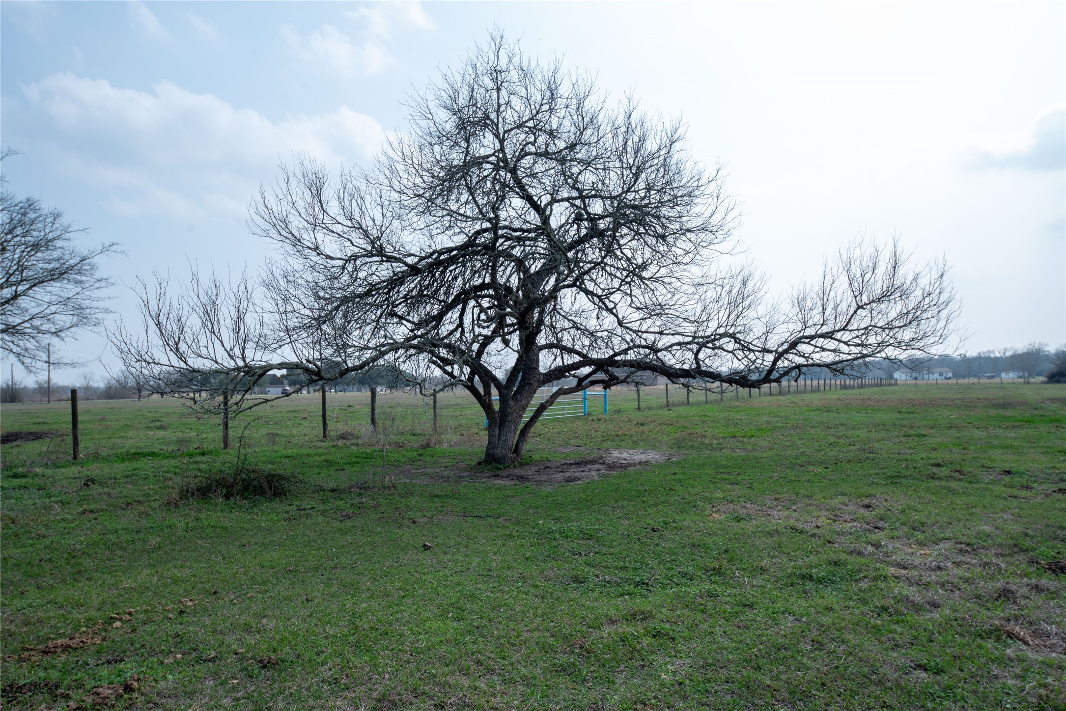 0 Wolf Run Needville, TX 77461 - Photo 4 of 8