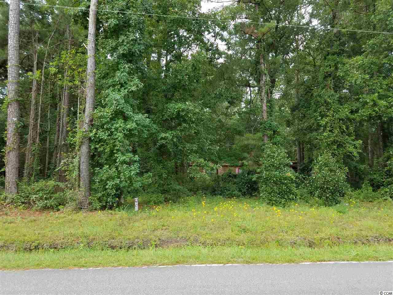 2839 Old Railroad Road Conway, SC 29527 - Photo 2 of 6 Gallery Image 2