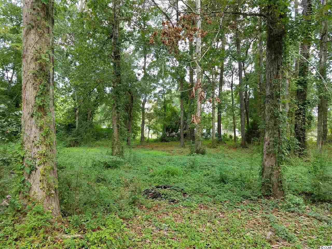 2839 Old Railroad Road Conway, SC 29527 - Photo 3 of 6 Gallery Image 3
