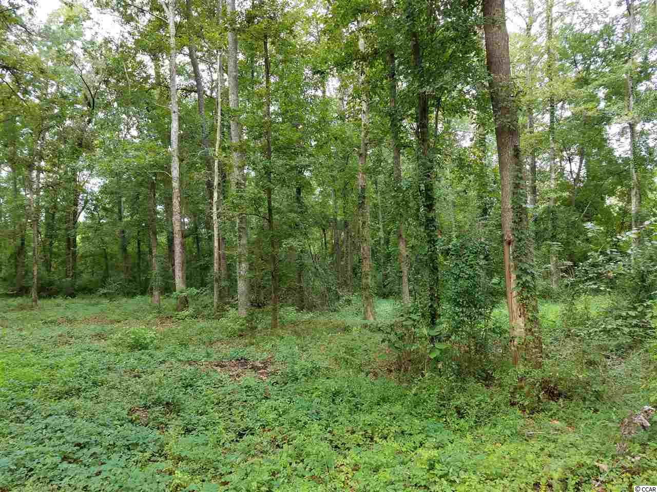 2839 Old Railroad Road Conway, SC 29527 - Photo 4 of 6 Gallery Image 4