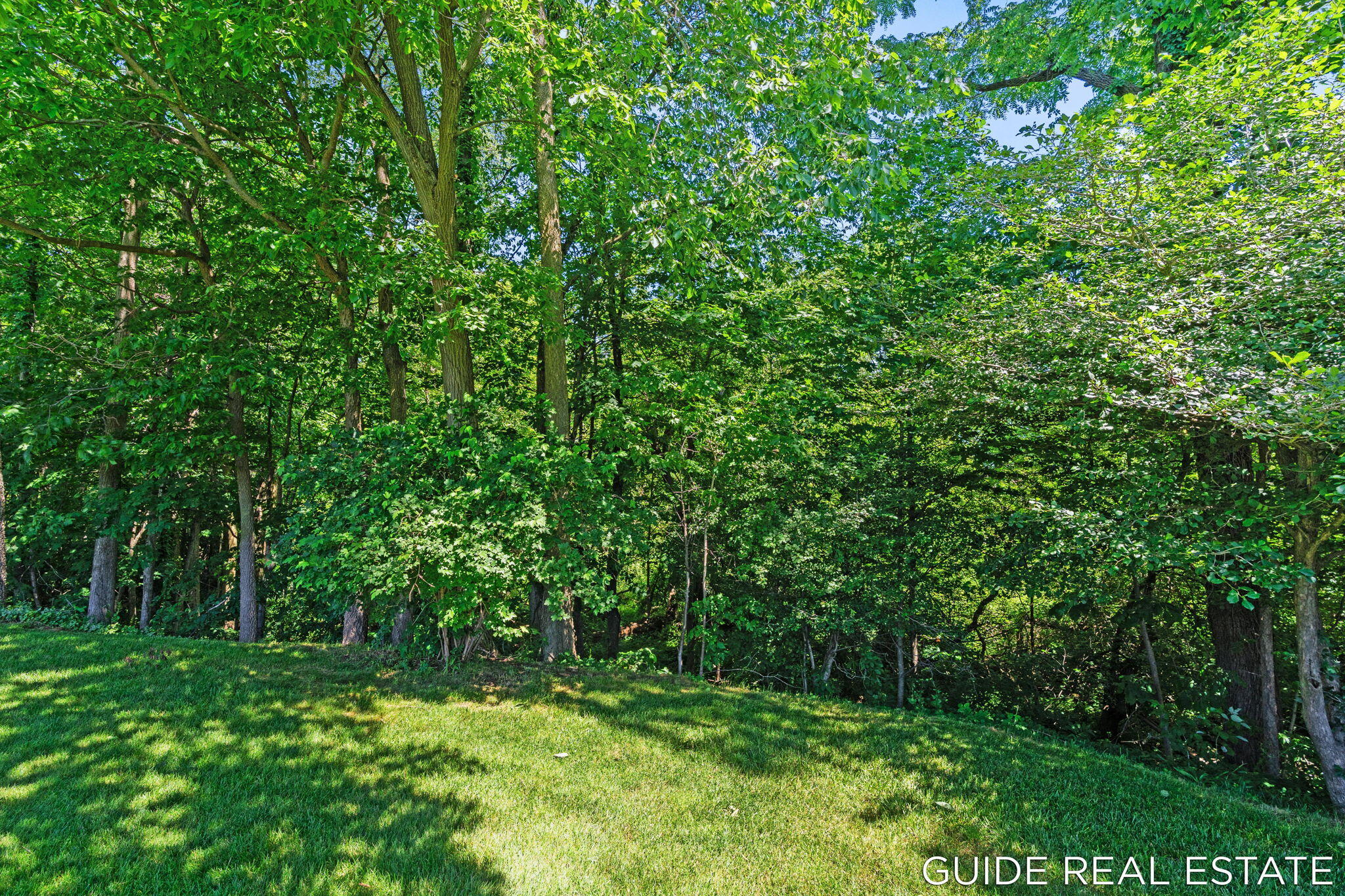 4873 Green Ridge Trail Hamilton, MI 49419 - Photo 58 of 73 59-web-or-mls-Project_20260613_8392