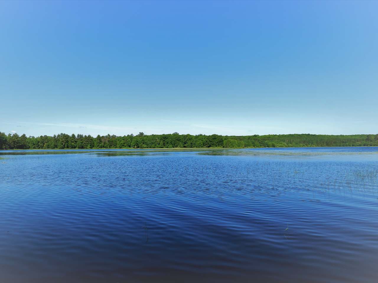 3653 Deerskin Road Phelps, WI 54554 - Photo 2 of 22 Gallery Image 2