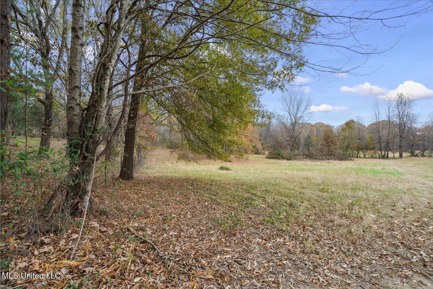 5780 Church Road Horn Lake, MS 38637 - Photo 36 of 43 32-32-1879682mi-5780 Church Rd W