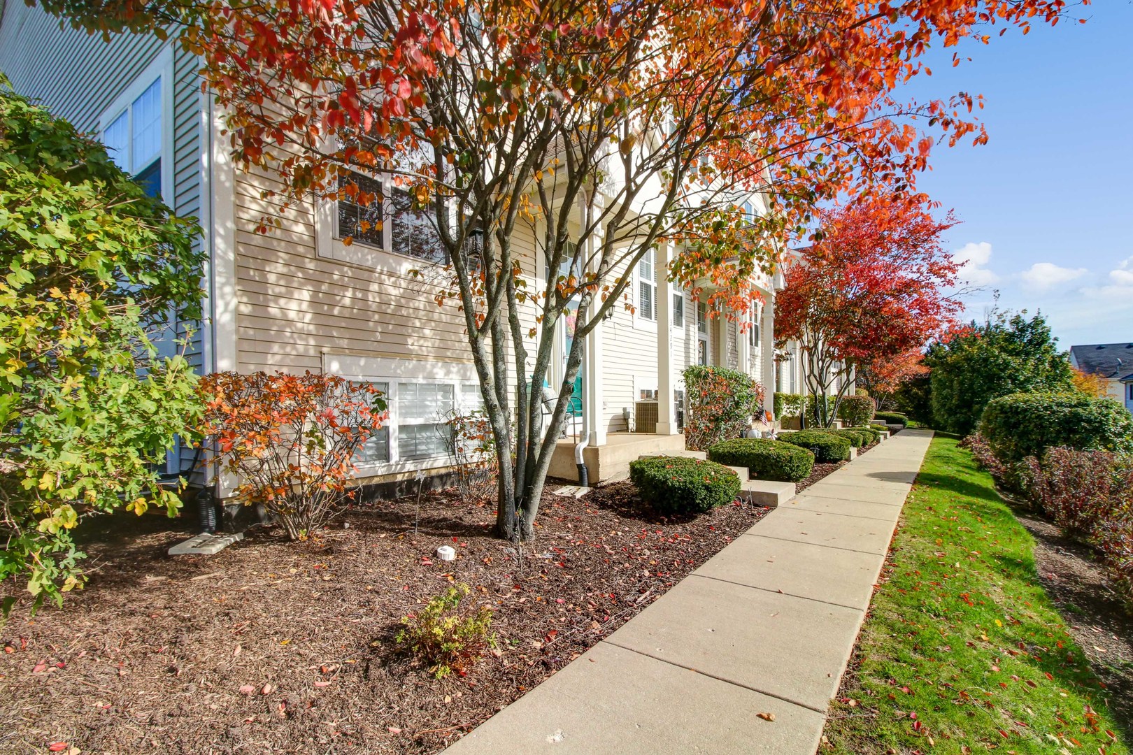 34295 North Barberry Road Round Lake, IL 60073 - Photo 3 of 23 a view of a backyard with potted plants and large trees