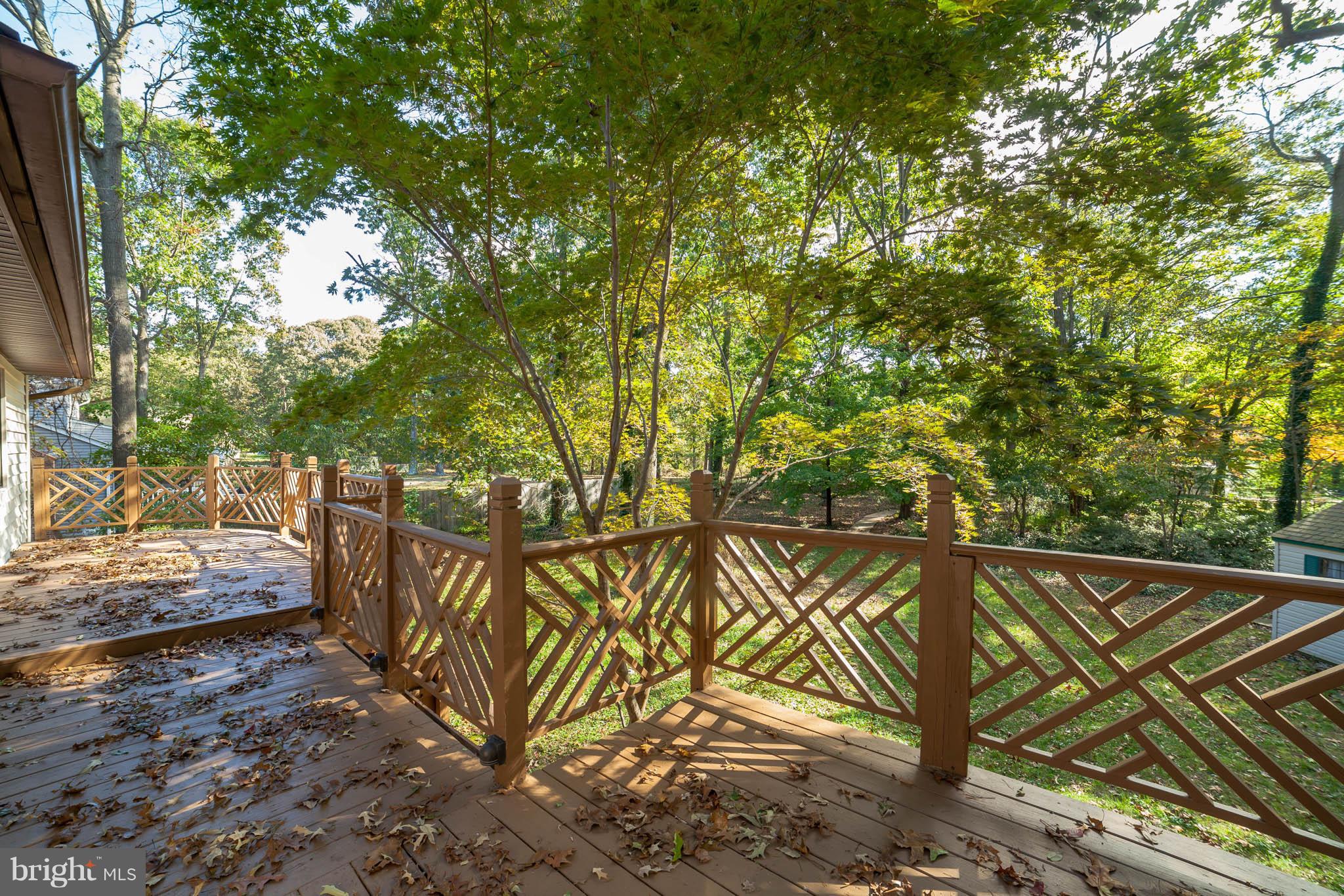 239 Beachwood Road Pasadena, MD 21122 - Photo 21 of 30 Gallery Image 21