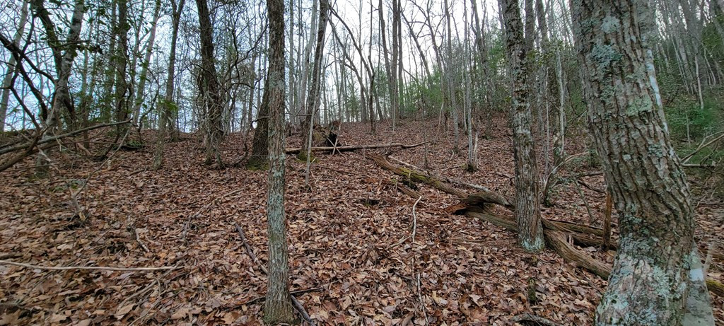 Lot 26 Beech Mountain Road Murphy, NC 28906 - Photo 6 of 8