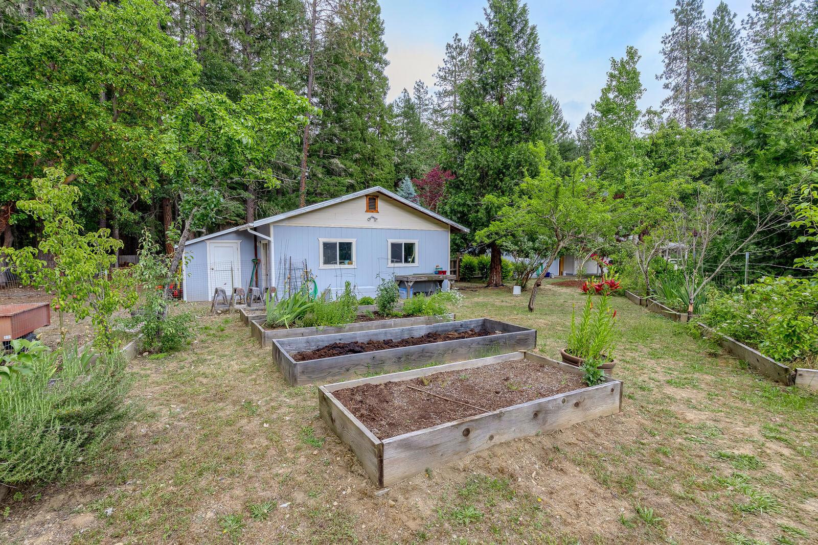 2444 Cedar Flat Road Williams, OR 97544 - Photo 46 of 74 57_CFR_57_mls