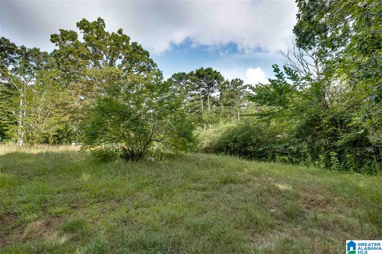 140 Jefferson Lane Alabaster, AL 35007 - Photo 6 of 15