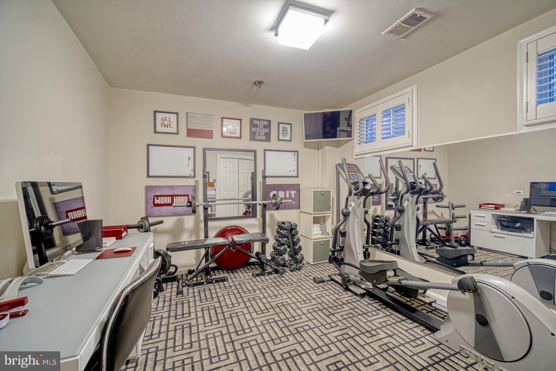 6745 Towne Lane Road McLean, VA 22101 - Photo 23 of 37 Work and workout in LL fitness/office/bonus room