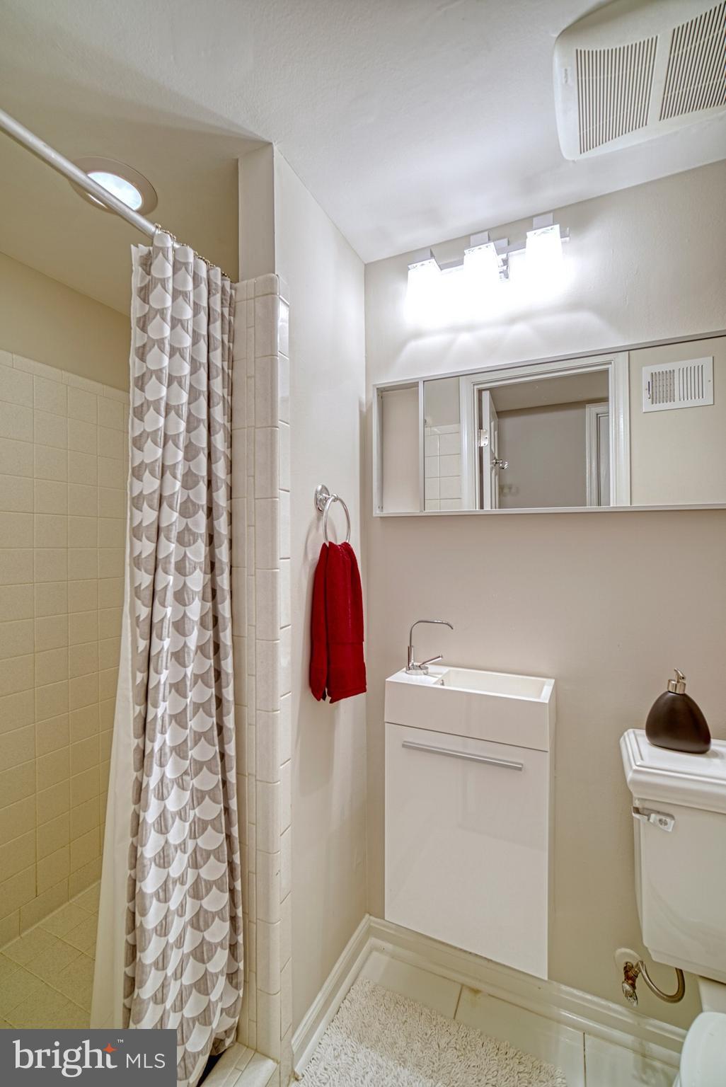 6745 Towne Lane Road McLean, VA 22101 - Photo 24 of 37 Lower level living includes modern full bath