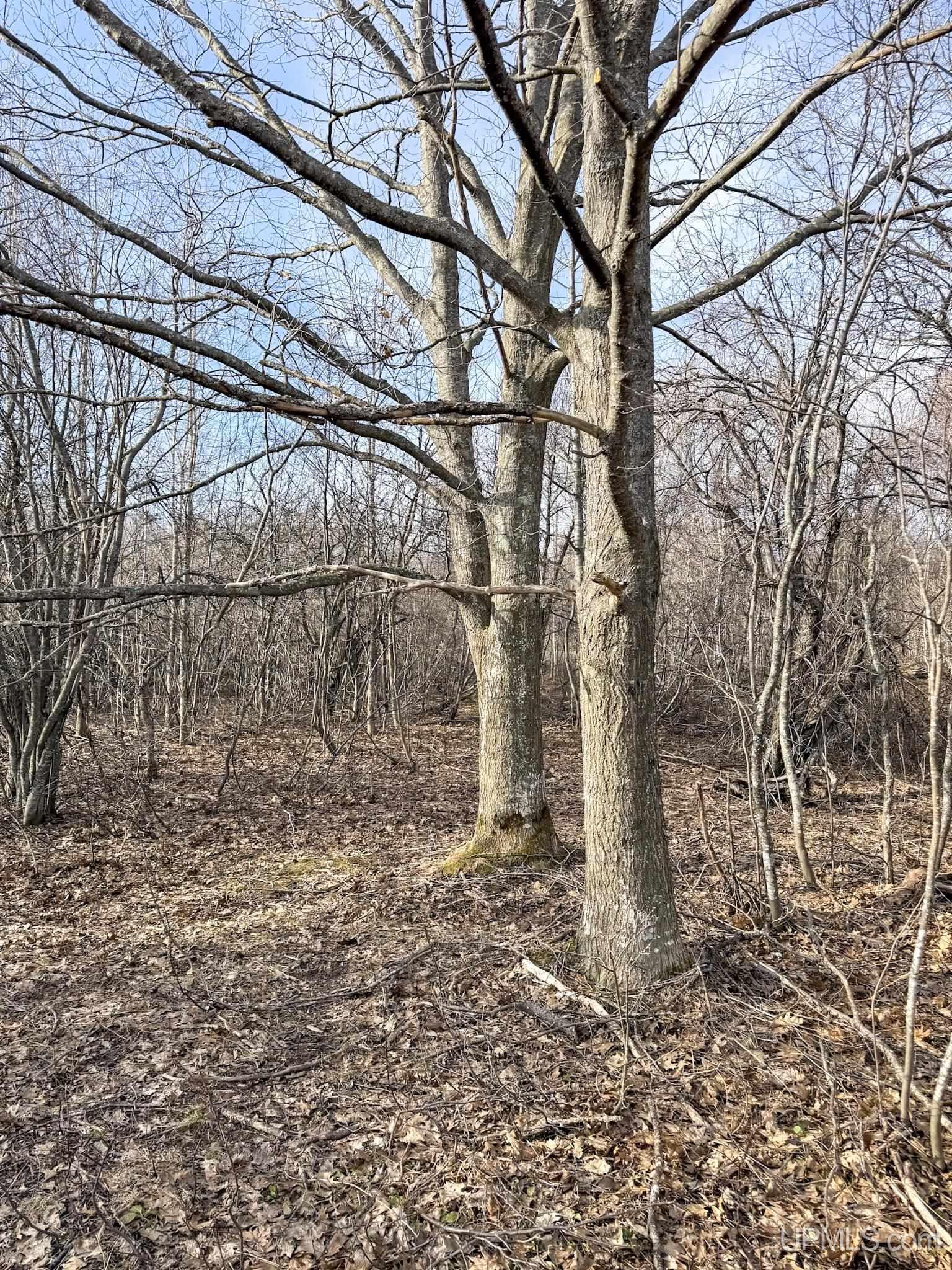 Lot D Mohawk Gay Road Mohawk, MI 49950 - Photo 5 of 18