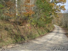 0 Sam Cavins Road Pennsboro, WV 26415 - Photo 2 of 2 County road frontage