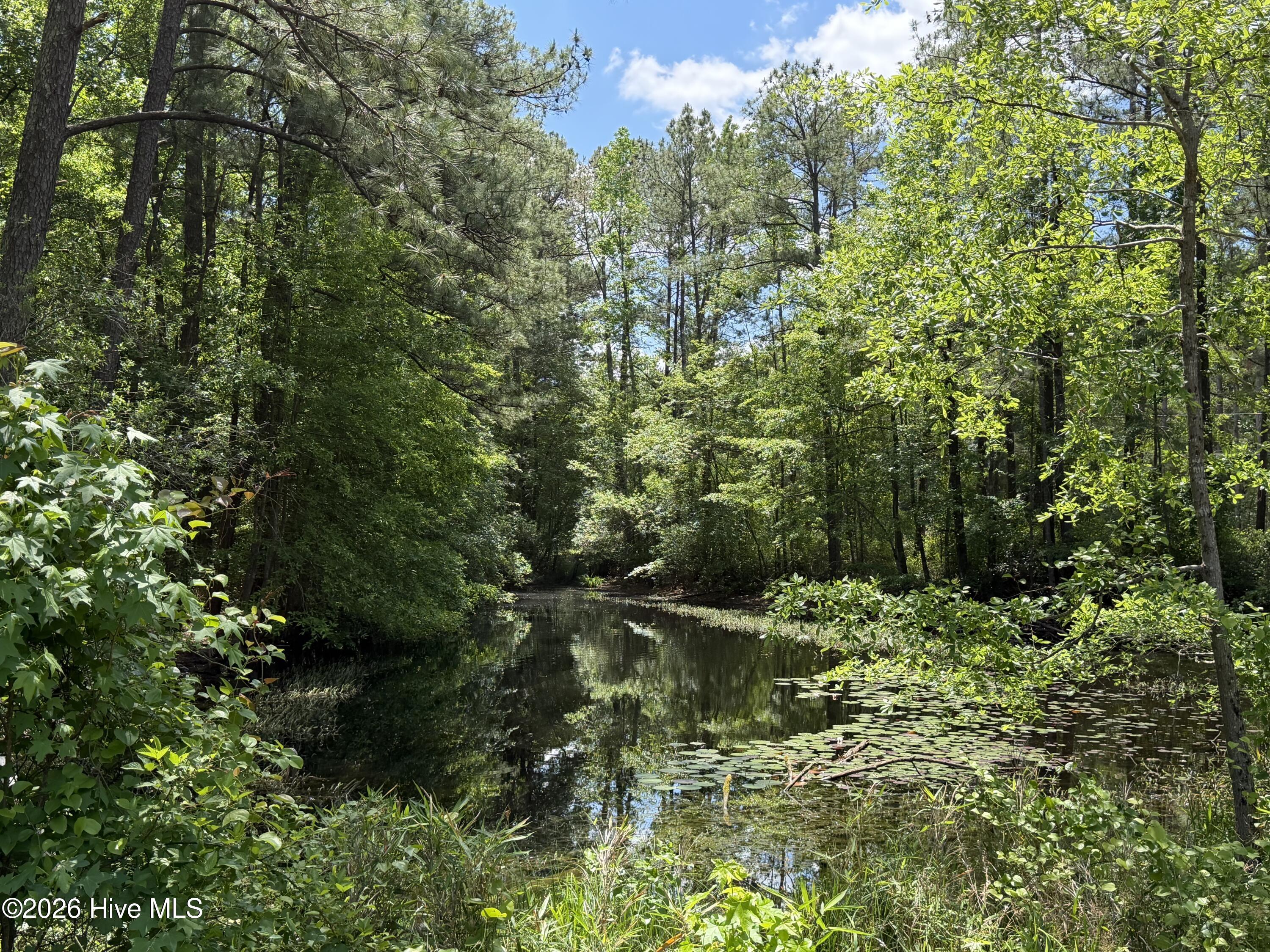 979 Aiken Road Vass, NC 28394 - Photo 4 of 26 979 Aiken Rd 4