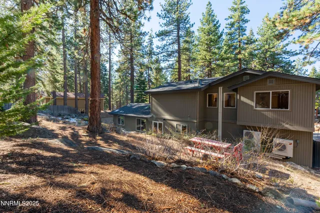 a dirt road with trees in front of it
