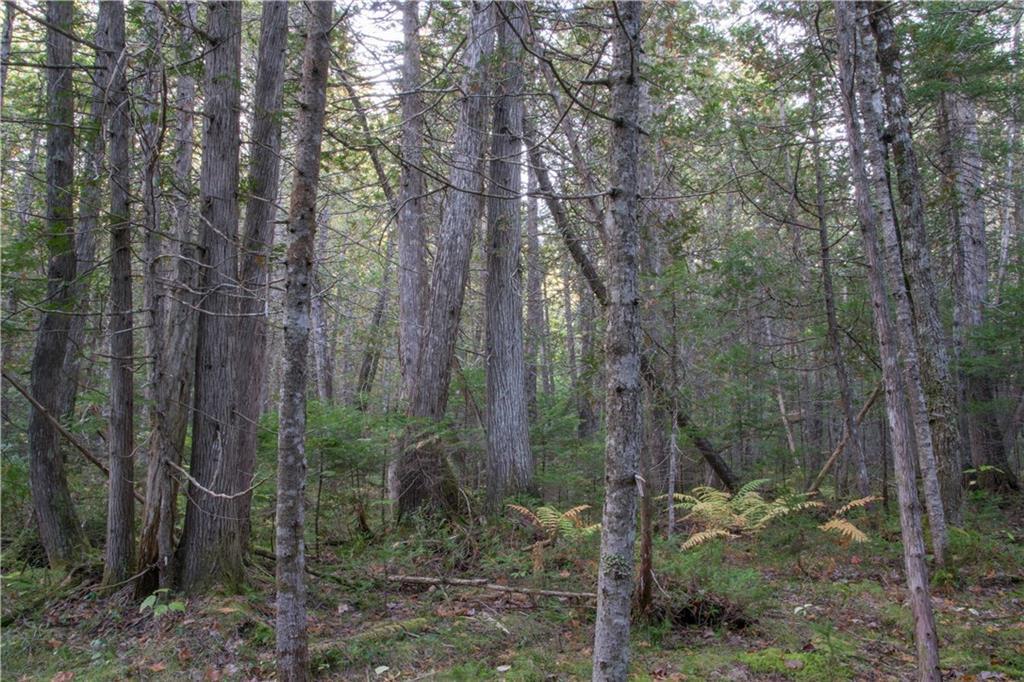 11 NORTH Rd Mount Mount Chase, ME 04765 - Photo 4 of 24 Land
