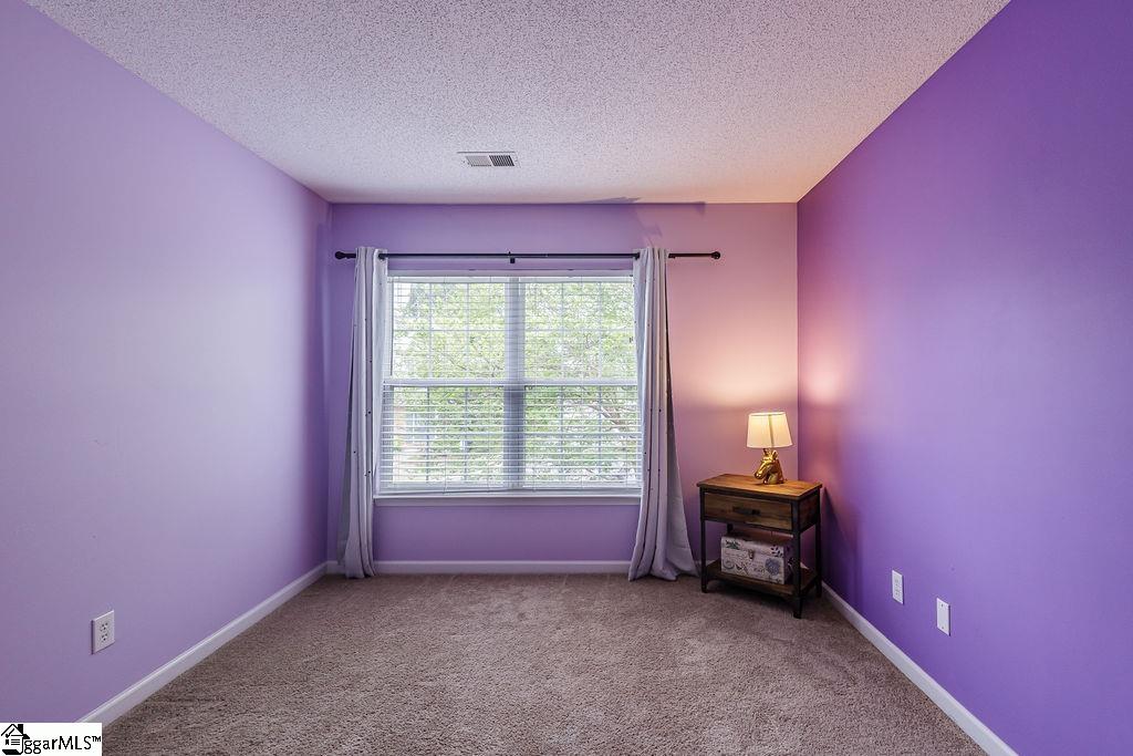 211 Braelock Drive Greer, SC 29650 - Photo 17 of 30
