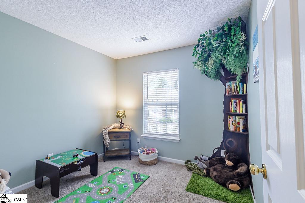211 Braelock Drive Greer, SC 29650 - Photo 19 of 30