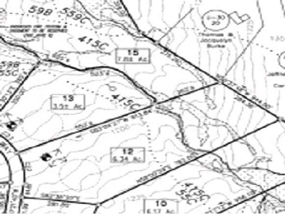 Lot 12 Clay Brook Road Gorham, NH 03581 - Photo 1 of 1 Gallery Image 1
