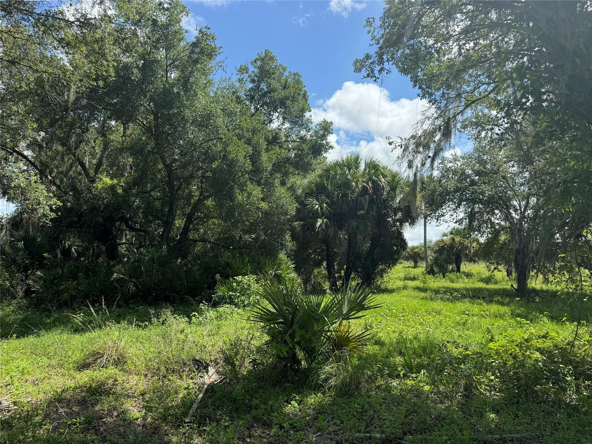 0 Co Road Clewiston, FL 33440 - Photo 34 of 40 Photo 35