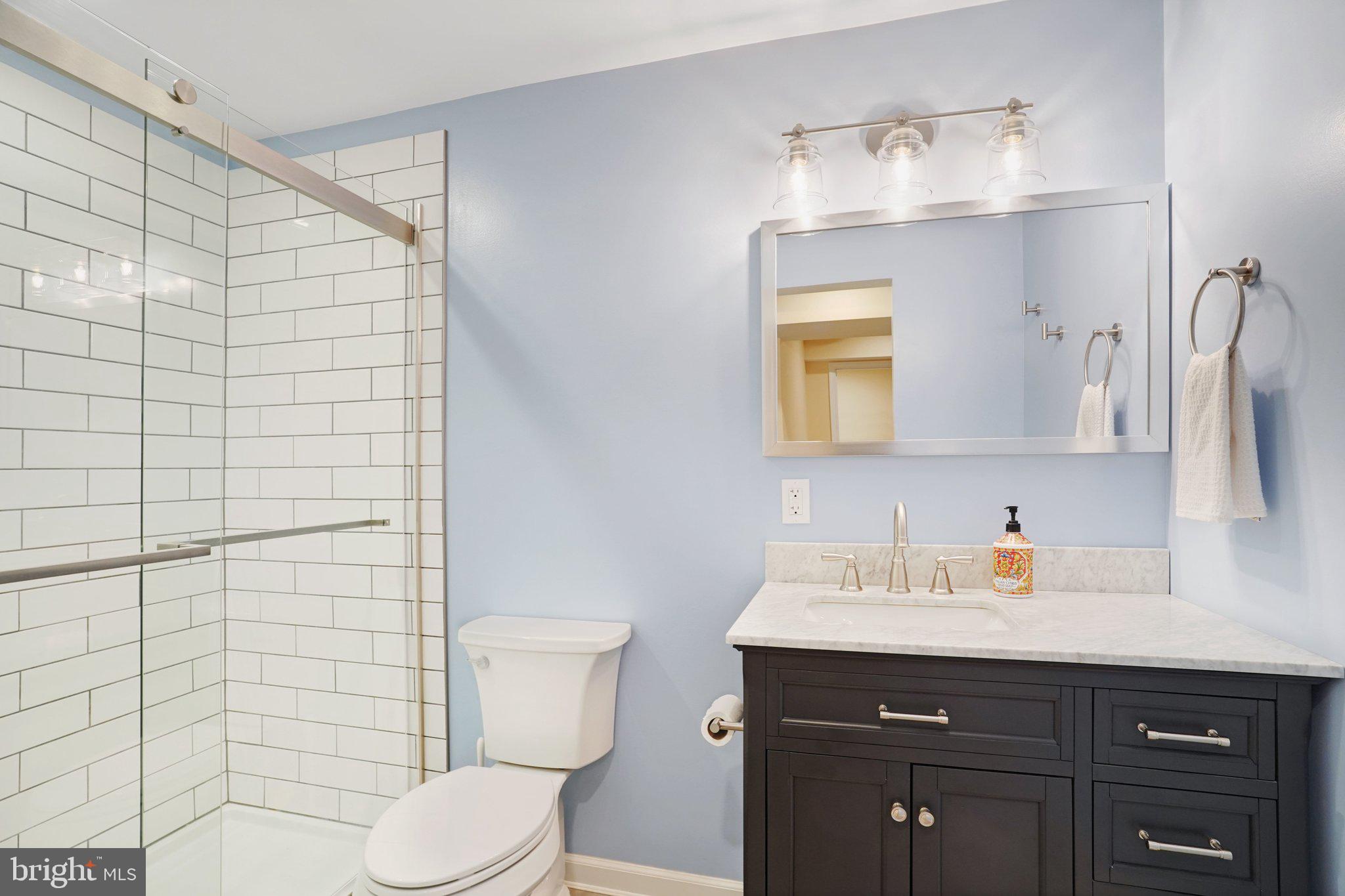 7628 Gralnick Place Springfield, VA 22153 - Photo 44 of 60 Full Bathroom in Basement