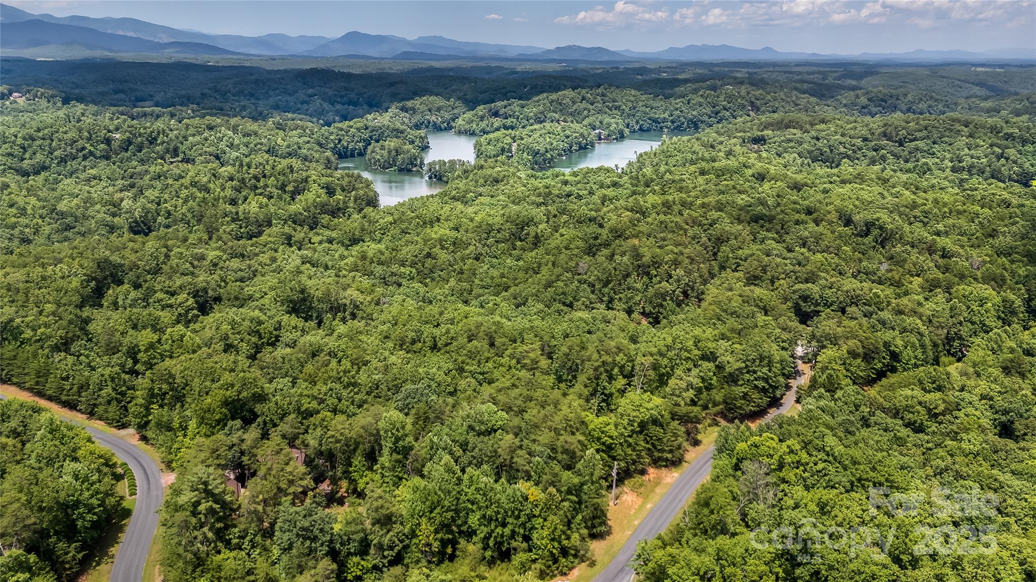 0 Lake Adger Parkway, Unit 22 Mill Spring, NC 28756 - Photo 4 of 9 a view of a lush green forest with a house and a forest
