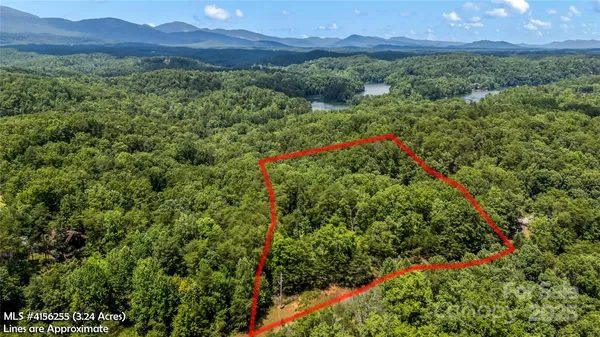 a view of a lush green hillside and a houses