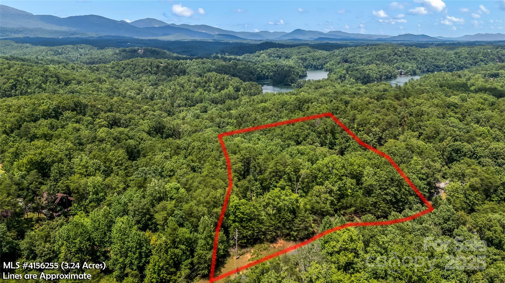 0 Lake Adger Parkway, Unit 22 Mill Spring, NC 28756 - Photo 6 of 9 a view of a lush green forest with a house