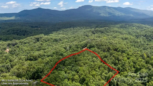 a view of a yard with potted plants