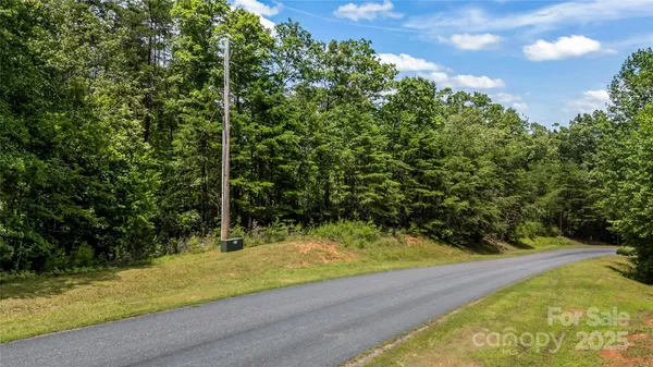 a view of a street with a yard and a trees