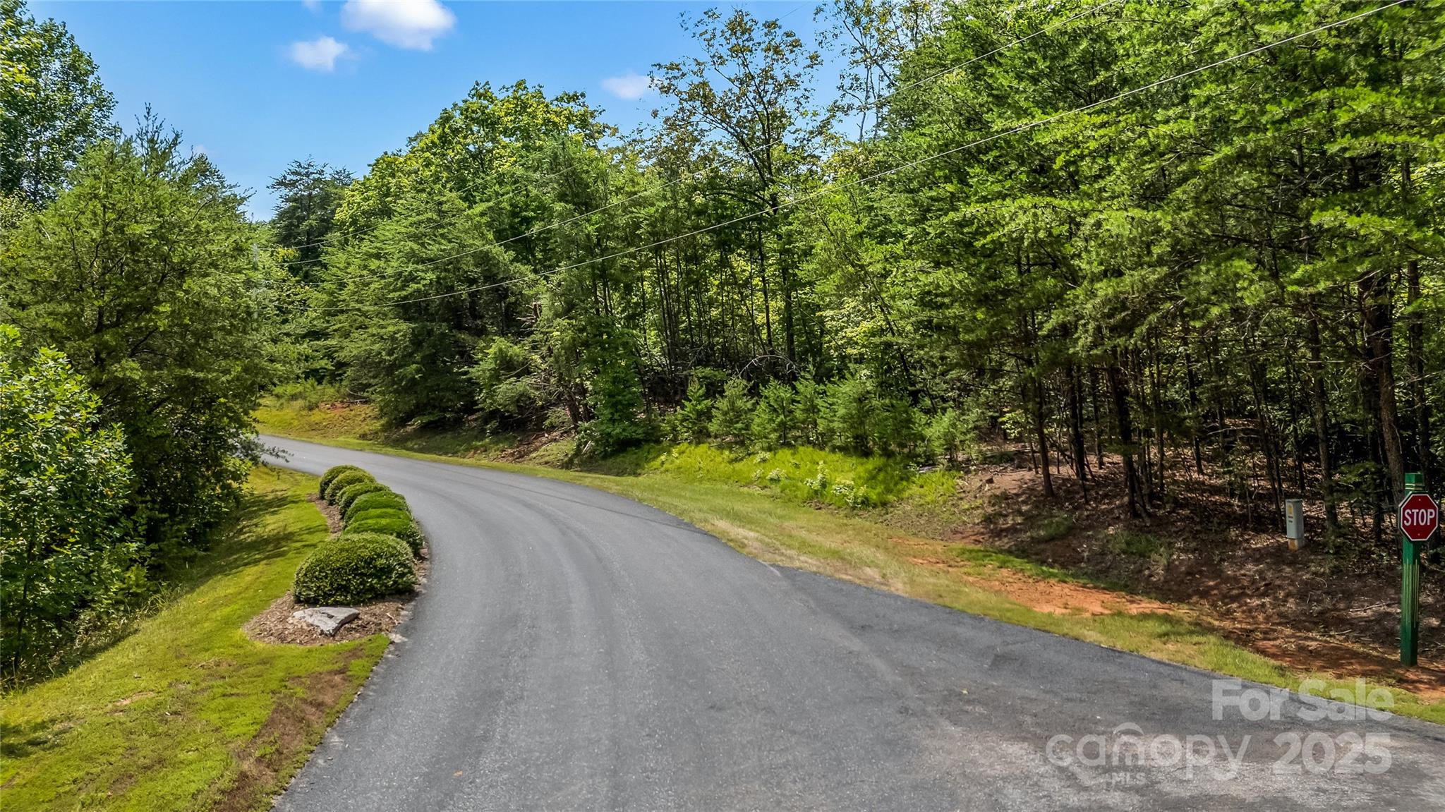 0 Lake Adger Parkway, Unit 22 Mill Spring, NC 28756 - Photo 9 of 9 a view of a street with a yard and a trees