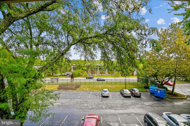 a view of a street with a tree and grass