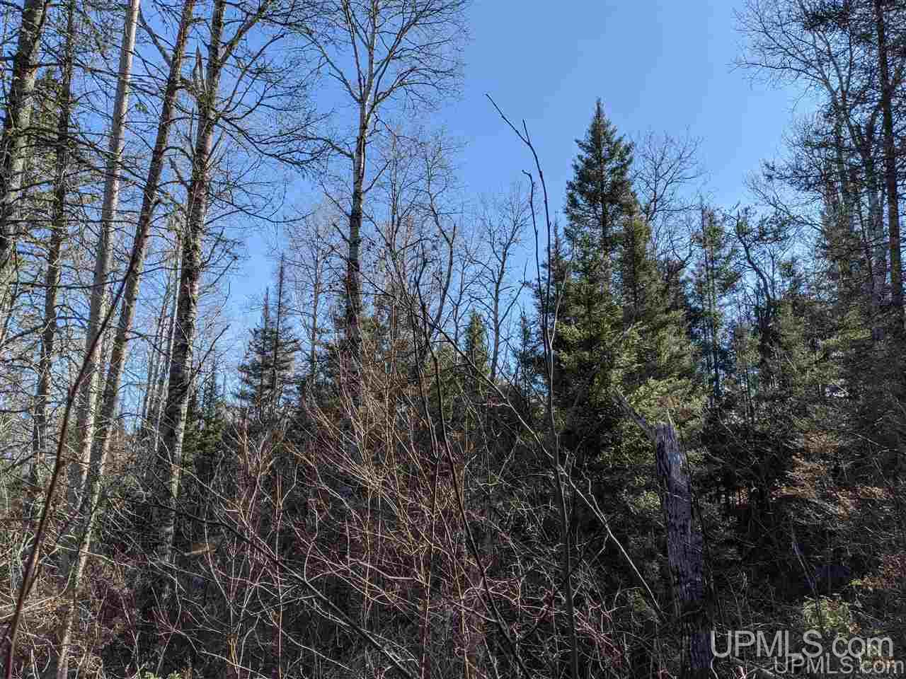 1 Little Bull Road, Unit N1/2NW1/4 Crystal Falls, MI 49920 - Photo 7 of 13
