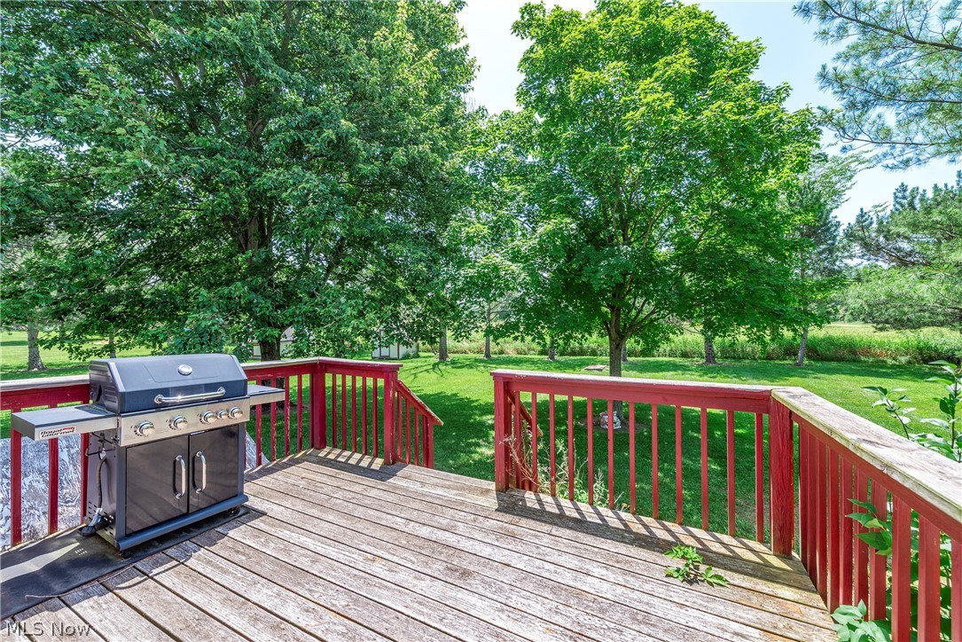 43891 Bursley Road Wellington, OH 44090 - Photo 44 of 50