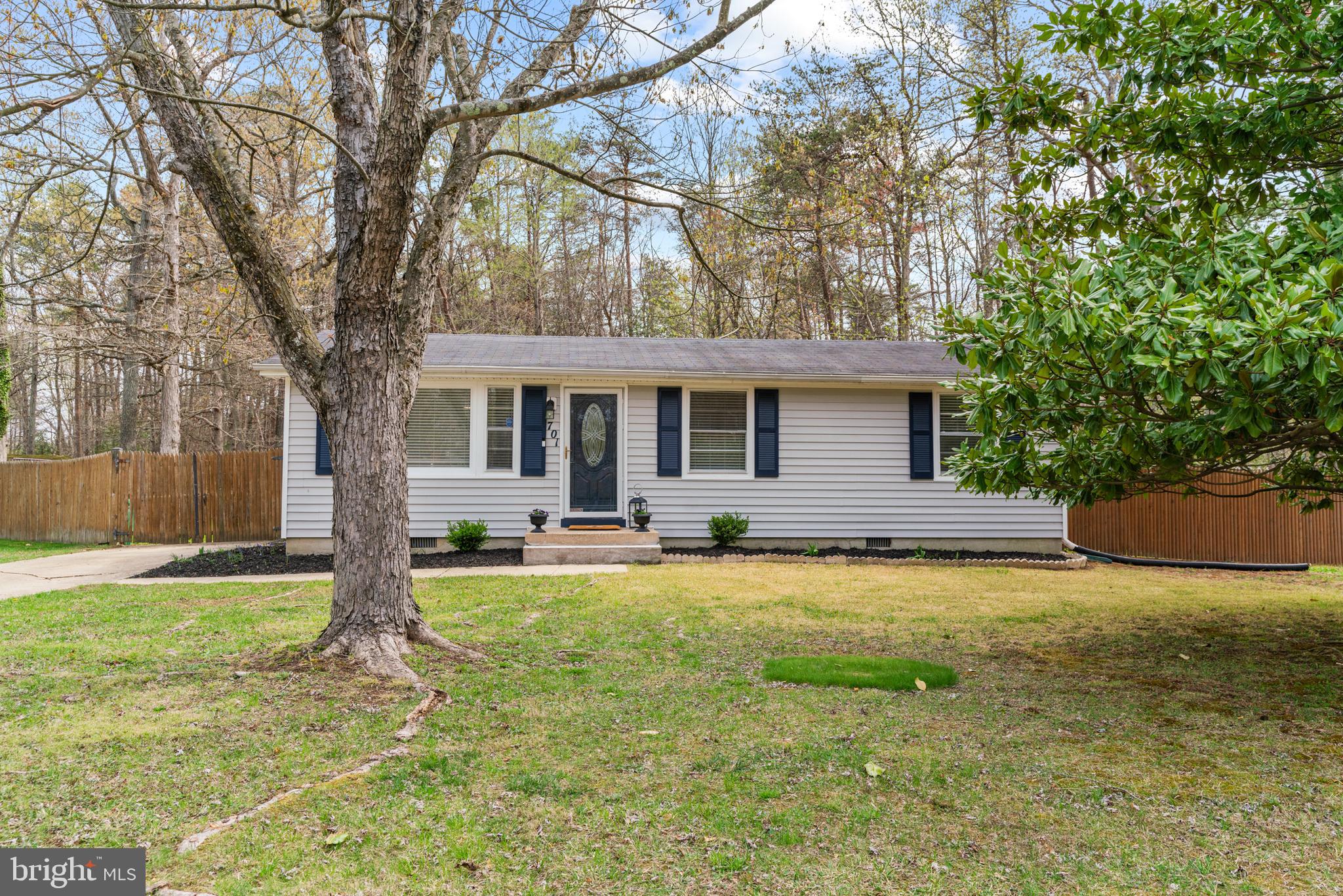 a view of a house with a yard and large tree