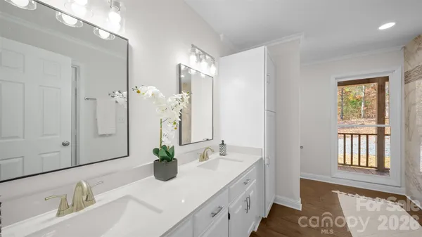 a bathroom with a sink a potted plant and a window