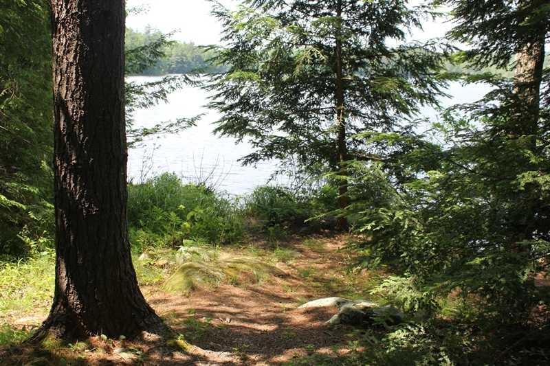445 Sandy River Road Fayette, ME 04349 - Photo 24 of 25 View. A view of the lake frontage.