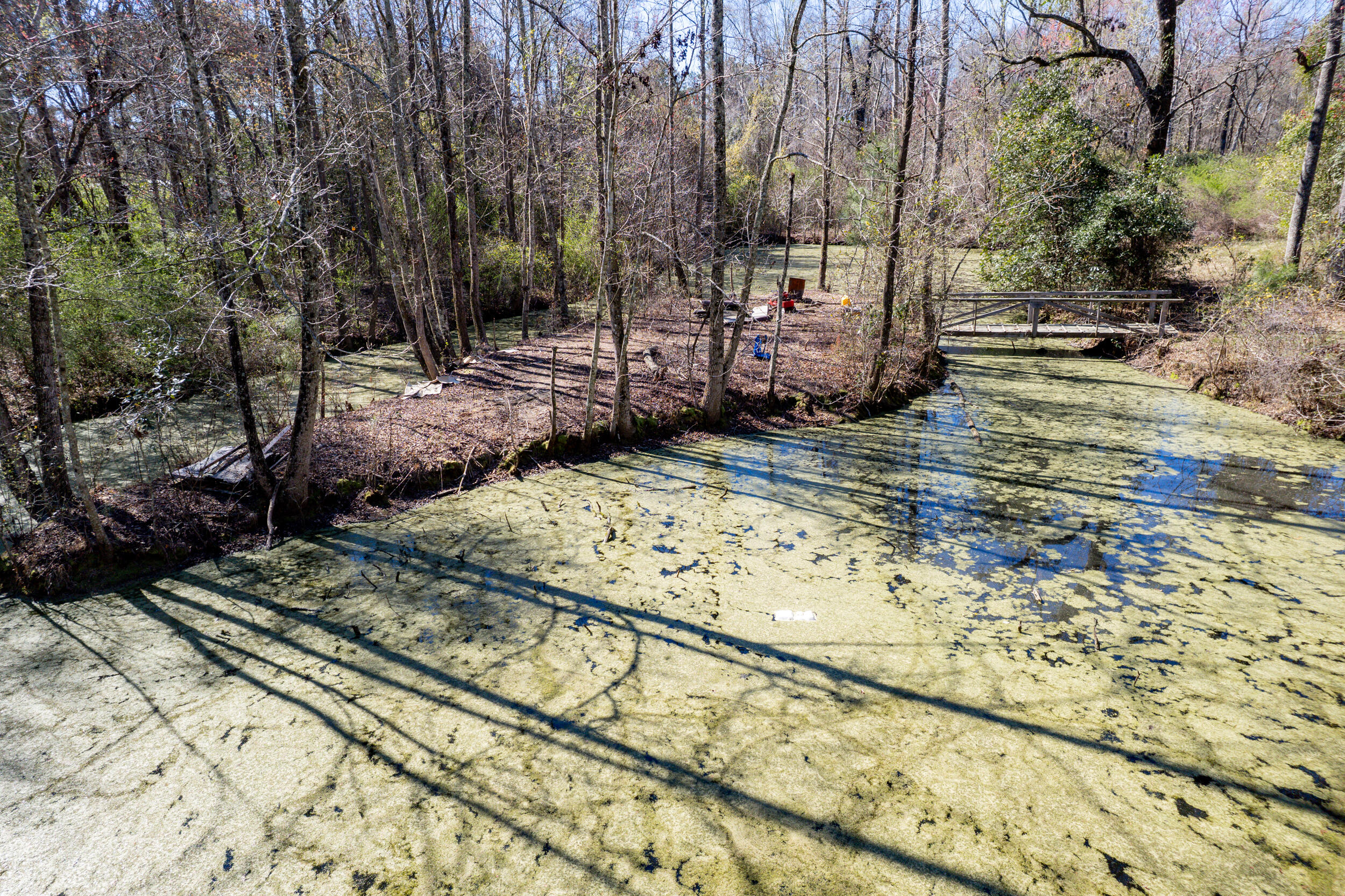 328 Fox Field Road Walterboro, SC 29488 - Photo 11 of 42 DJI_0037
