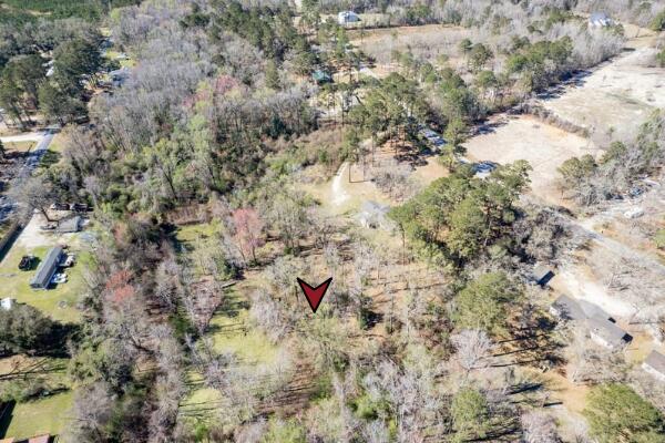 328 Fox Field Road Walterboro, SC 29488 - Photo 2 of 42 IMG_9532