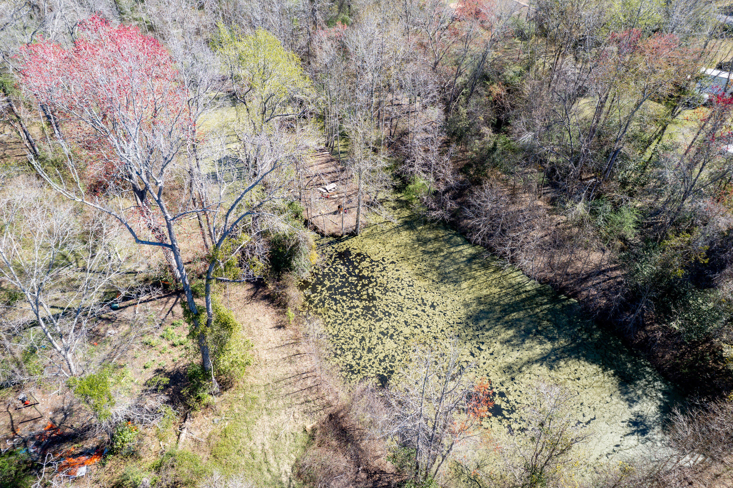 328 Fox Field Road Walterboro, SC 29488 - Photo 23 of 42 DJI_0035