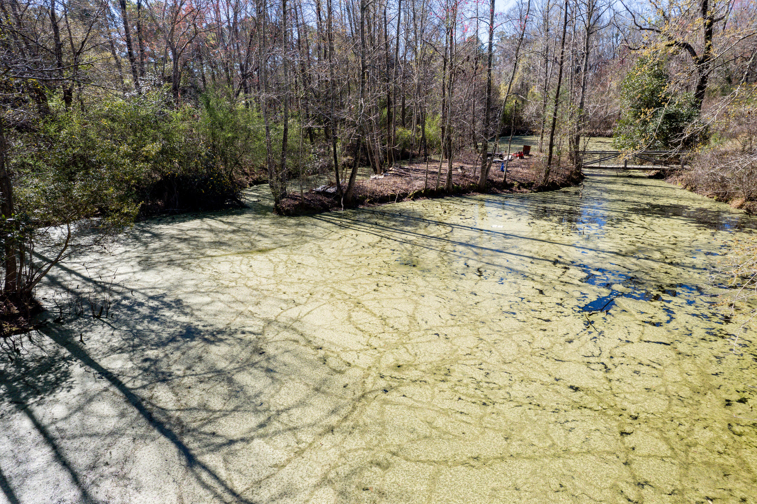 328 Fox Field Road Walterboro, SC 29488 - Photo 40 of 42 DJI_0036