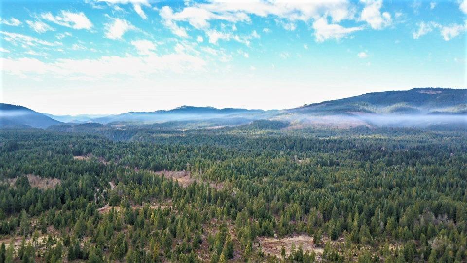 632 Butte Falls-Prospect Road Prospect, OR 97536 - Photo 31 of 50 0b87ebf2f8f4e747ad8933a58f39ef31