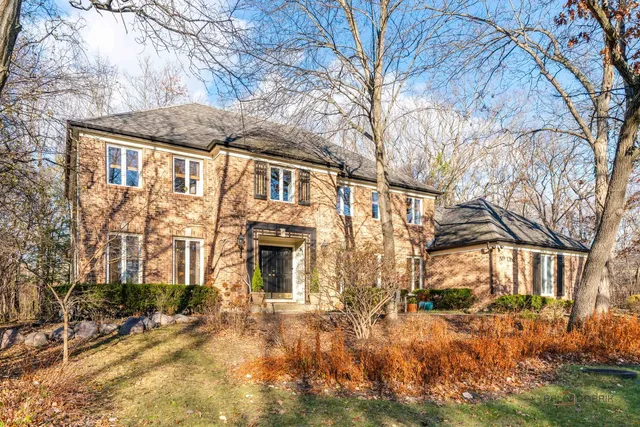 a view of a yard with large tree