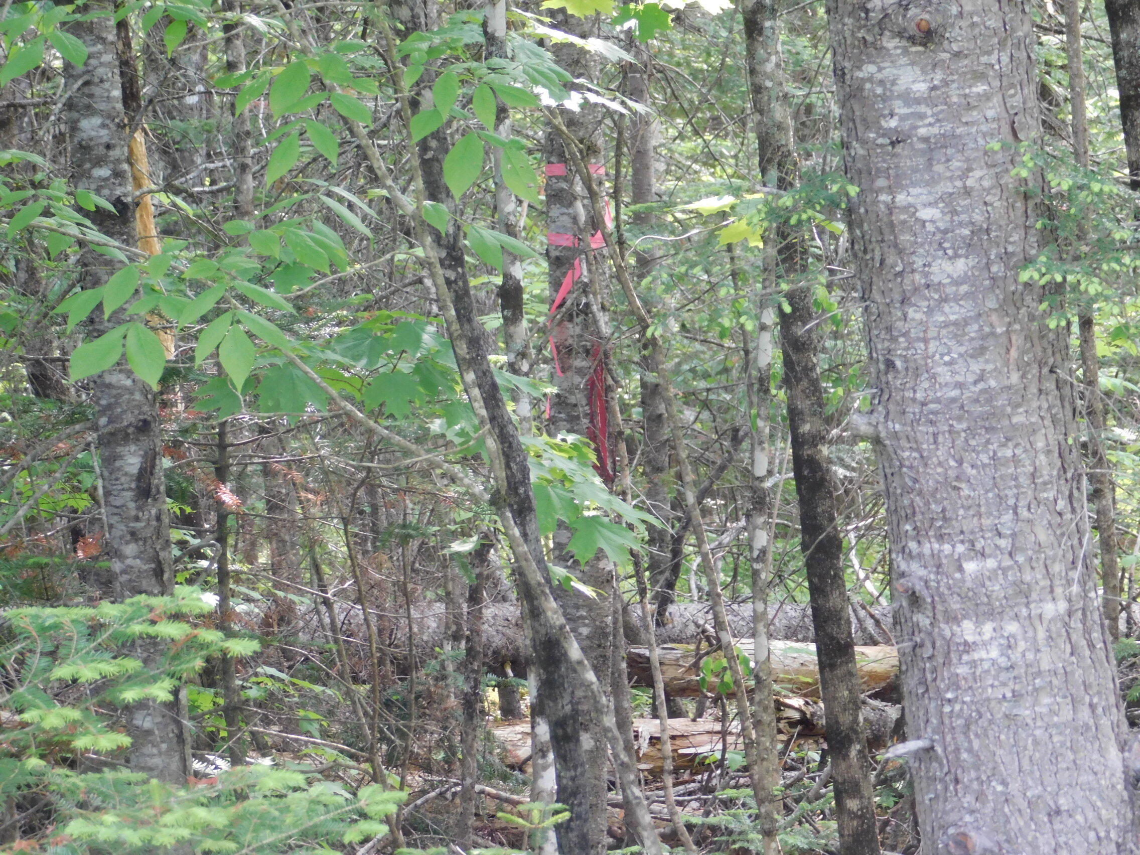 121 Parkman Hill Road Solon, ME 04979 - Photo 15 of 15