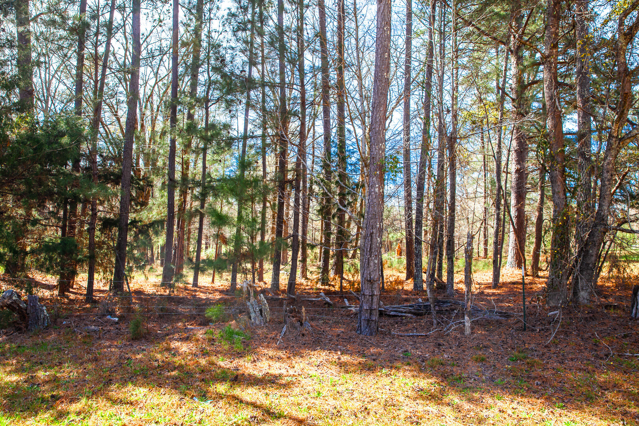 Lot 7 Mistletoe Road Appling, GA 30802 - Photo 1 of 9 IMG_1073