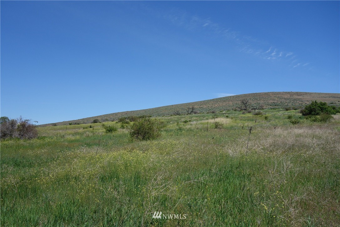 1 Boston Road Ellensburg, WA 98926 - Photo 17 of 21 Gallery Image 17