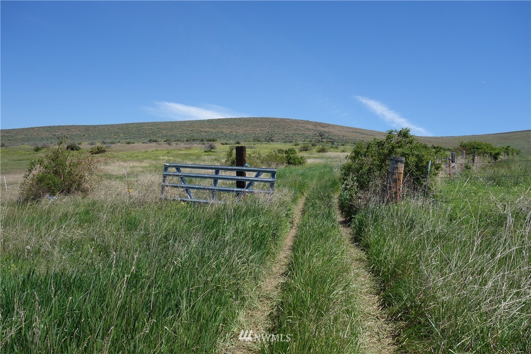 1 Boston Road Ellensburg, WA 98926 - Photo 6 of 21 Gallery Image 6