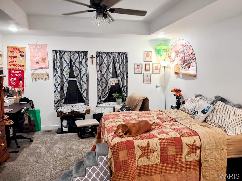 103 South Aspen Street Buffalo, MO 65622 - Photo 18 of 28