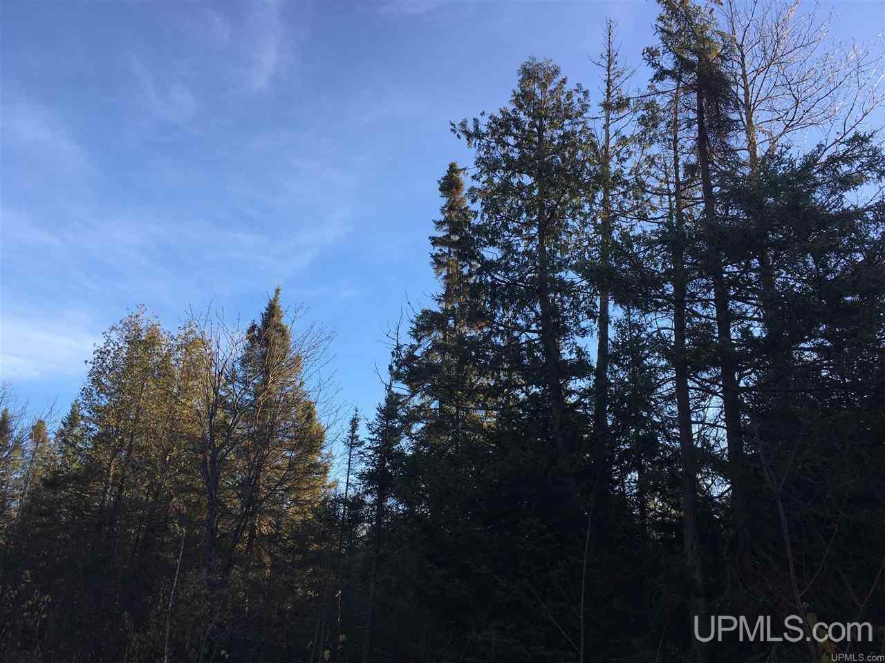 Off Holmes Lake Road Crystal Falls, MI 49920 - Photo 1 of 1